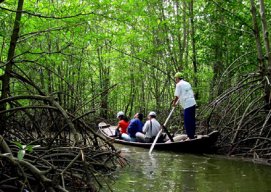 ĐĂNG KHOA