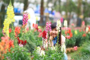 tkntvanphong