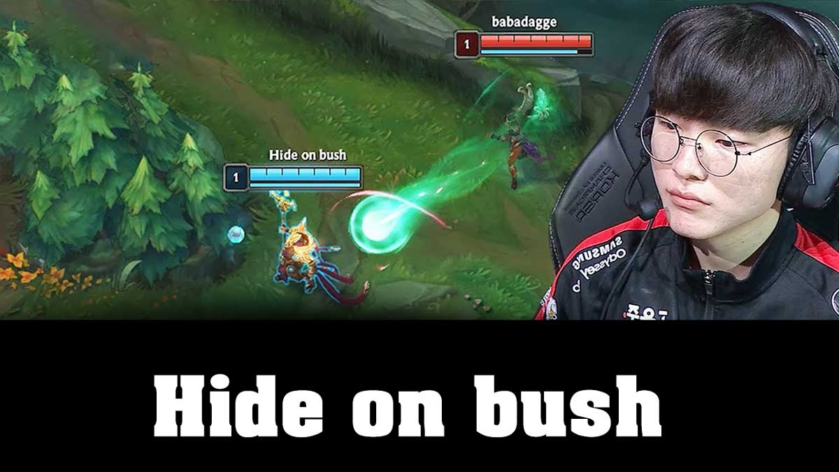 hide-on-bush.jpg
