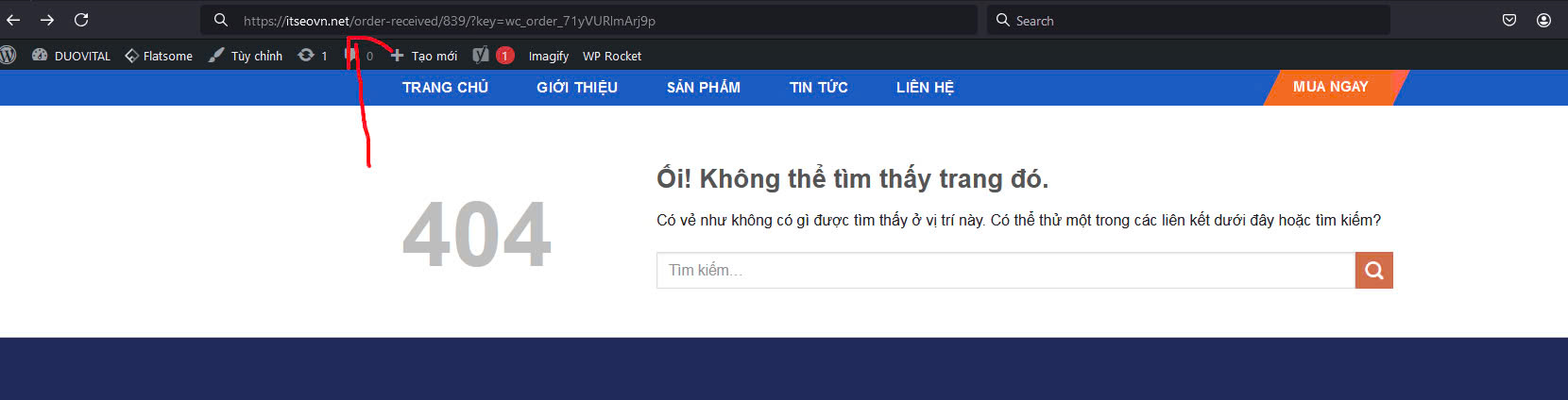 thanh-toan-loi-404.jpg