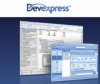 devexpress-13.jpg