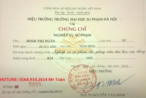 sư phạm cđ đh.jpg