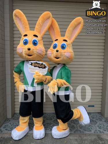 mascot-con-tho 08-bingo-costumes (2).JPG