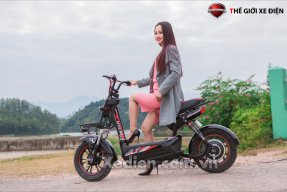 xedapdien635