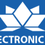 Electronic_VN