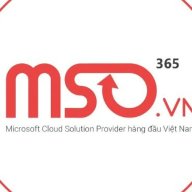 MSOVietNam