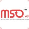 MSOVietNam